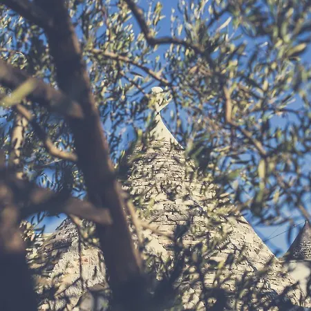 Holiday home Trullo Del Sorriso *